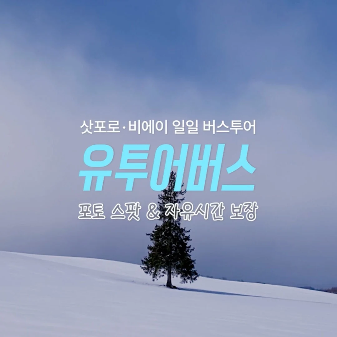 목차비에이 후라노 버스투어 핵심 정보 대형 버스 이동 중 바라본 홋카이도 전경