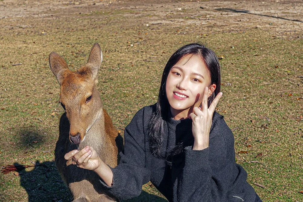 목차투어 핵심 정보 오사카 근교 버스투어 차량 이동 모습