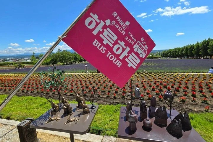 삿포로 비에이 후라노 일일투어 추천 한국인 가이드 및 준페이 예약 코스 후기 삿포로 비에이 후라노 일일투어 추천 한국인 가이드 및 준페이 예약 코스 후기